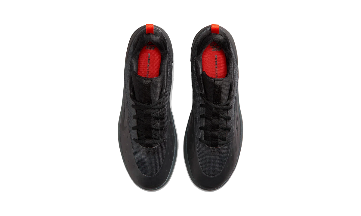 Overkicks - Nike SB Zoom Nyjah 4 Cool Grey Wolf Grey (FQ1273-003) - vista superior