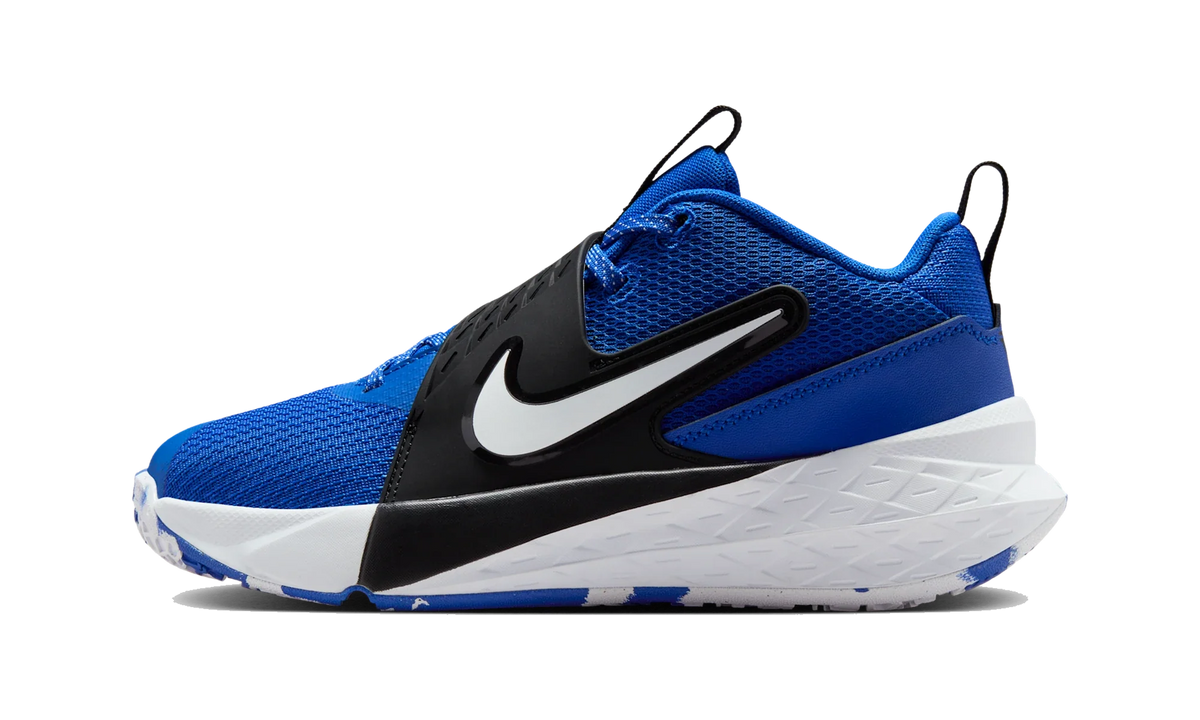 Overkicks - Nike Team Hustle D 12 Game Royal Black White (GS) (HF6279-400) - vista lateral