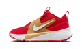 Nike Team Hustle D 12 University Red Gold White (GS)