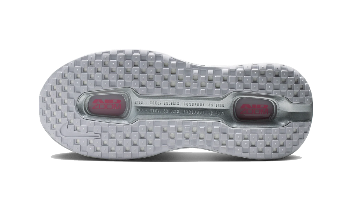 Overkicks - Nike Vomero Premium QS Fleur De-Lis Geyser Grey (Womens) (IQ0028-001) - par completo