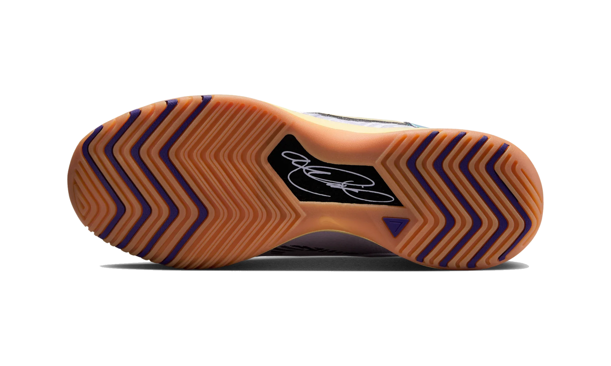 Overkicks - Nike Zoom LeBron NXXT Genisus Amethyst Tint Court Purple (IH2370-500) - par completo