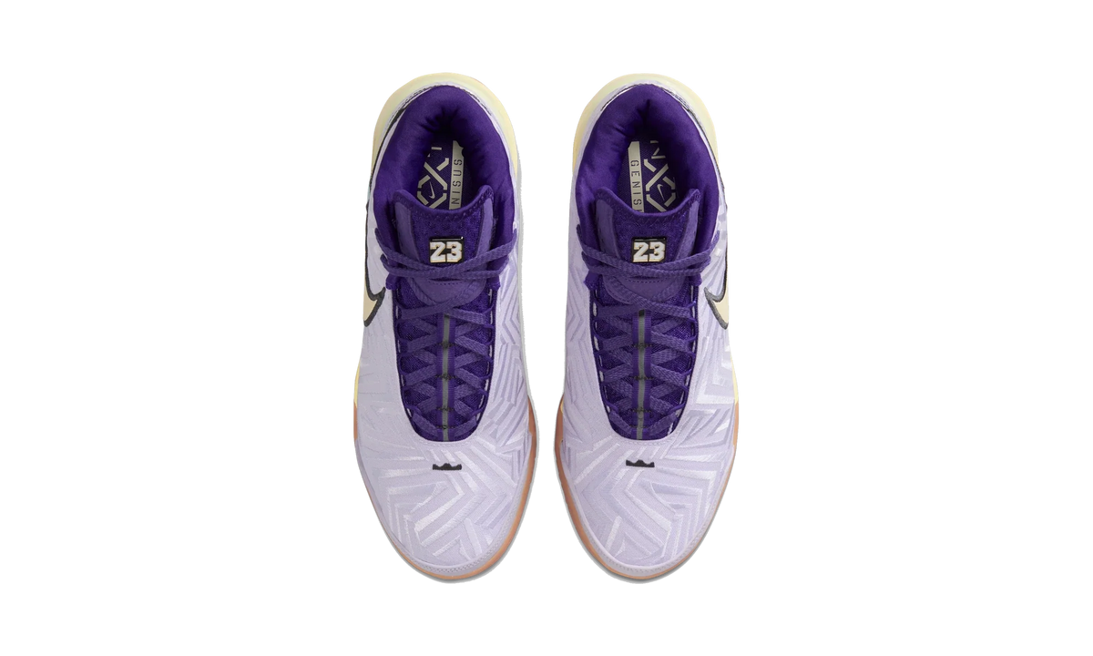 Overkicks - Nike Zoom LeBron NXXT Genisus Amethyst Tint Court Purple (IH2370-500) - vista superior