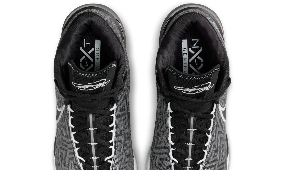 Overkicks - Nike Zoom LeBron NXXT Genisus Black (HF0712-004/HF0711-004) - vista superior