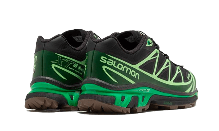 Overkicks - Salomon Advanced XT-6 Gore-Tex Eden Green Ash (L47292100) - par completo