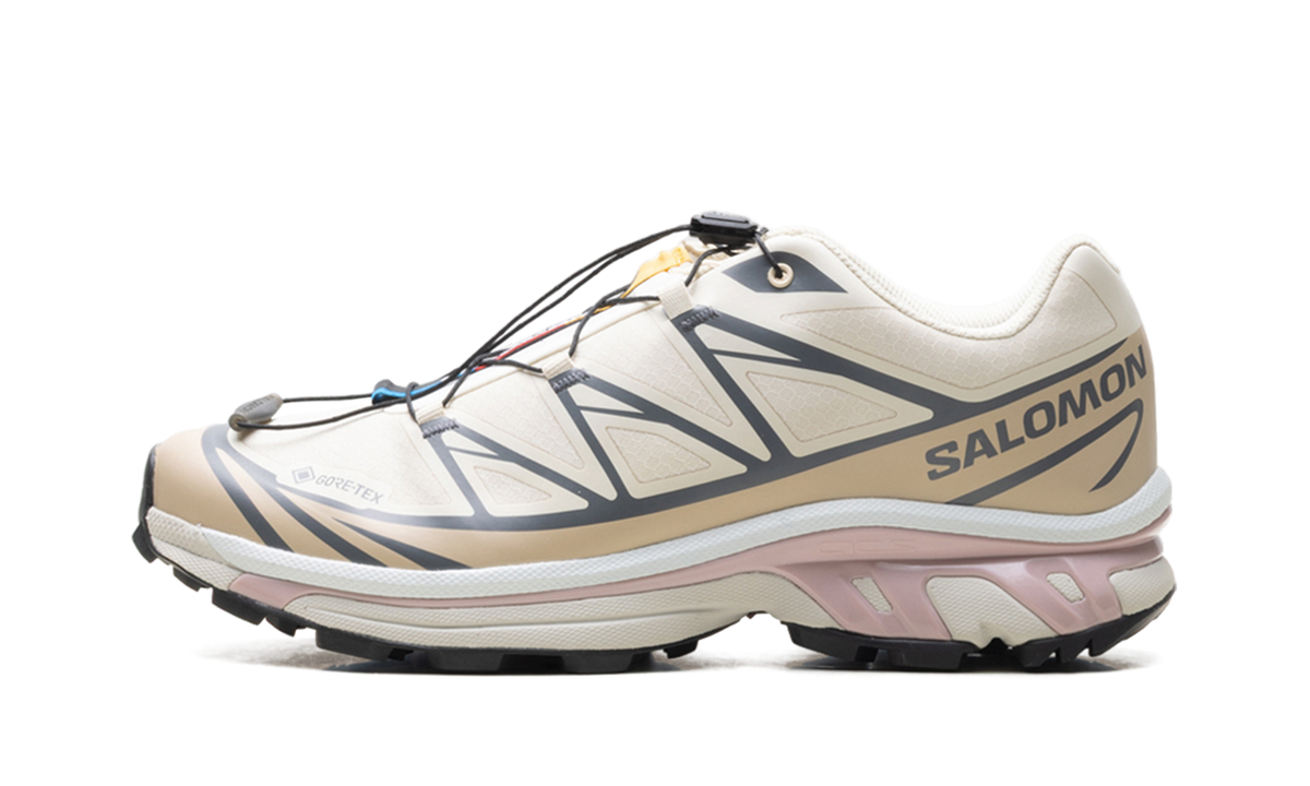 Overkicks - Salomon XT-6 Almond Milk Mauve (L47581200) - vista lateral