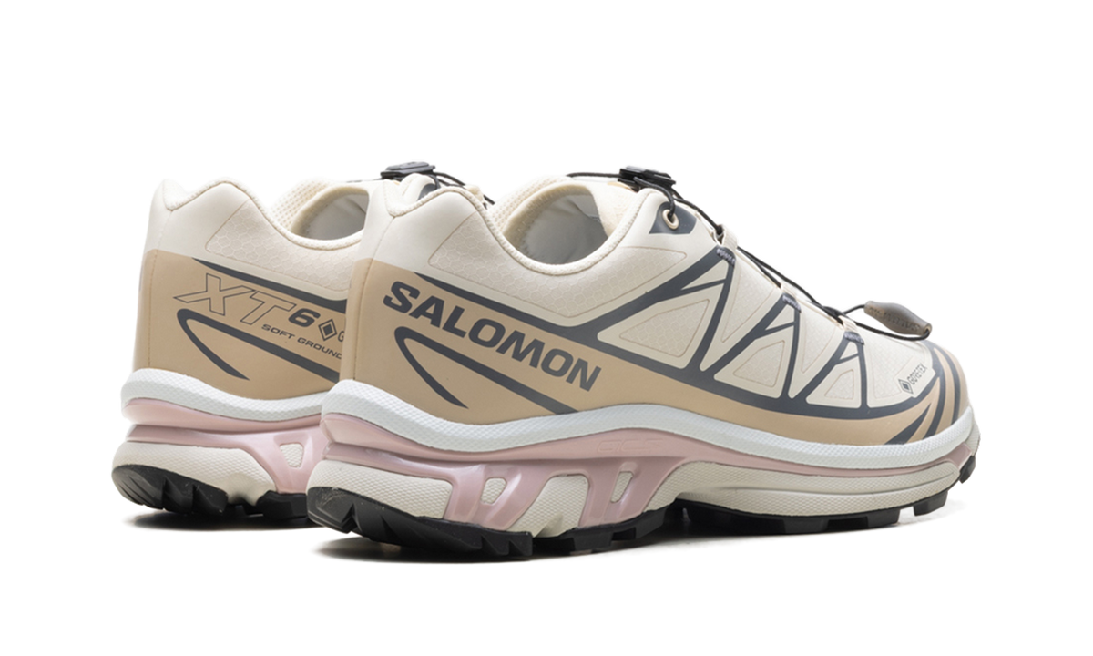 Overkicks - Salomon XT-6 Almond Milk Mauve (L47581200) - par completo