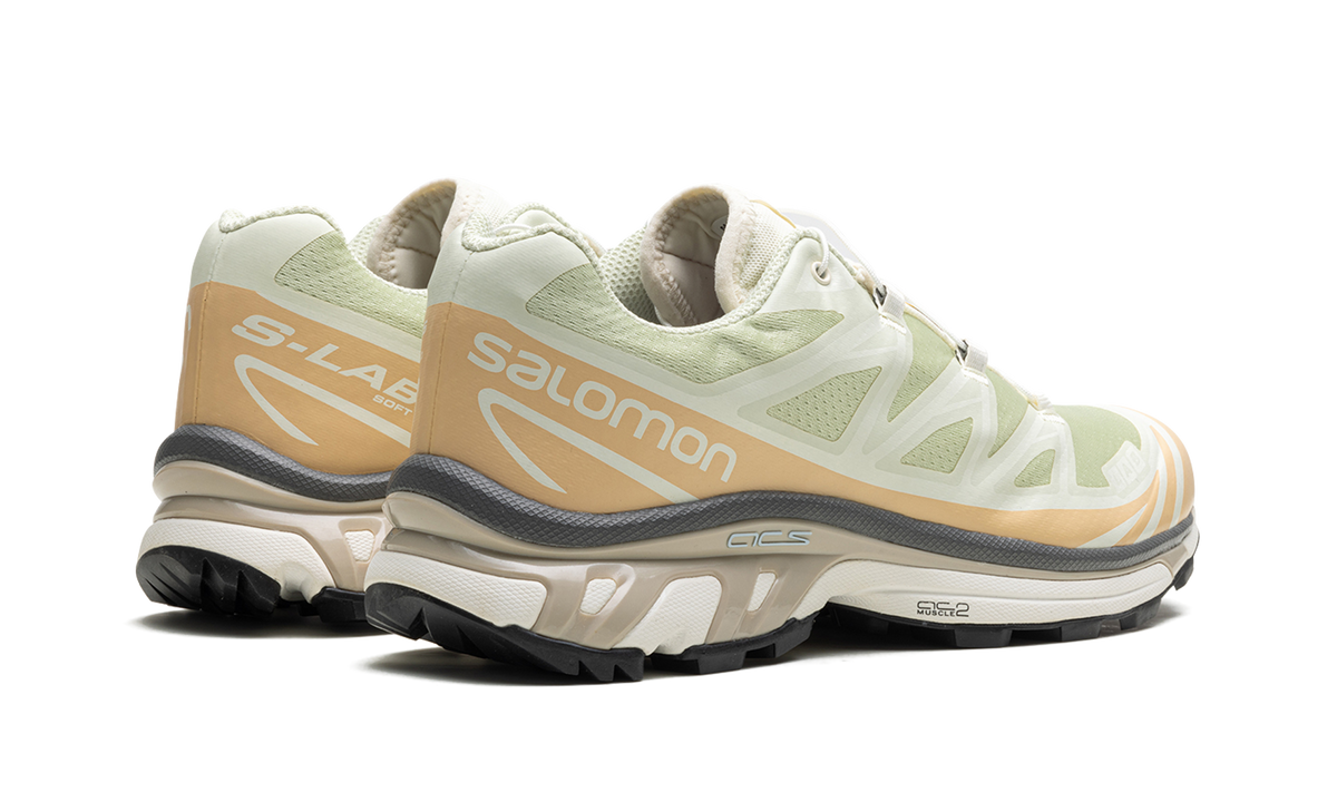 Overkicks - Salomon XT-6 Aloe Wash Feather Grey (L47293700) - par completo