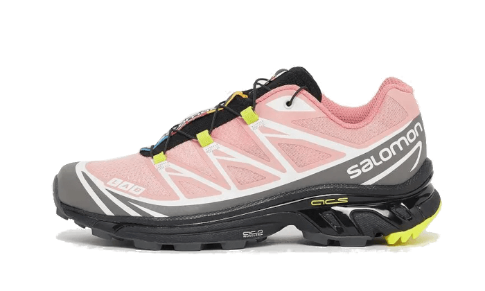Overkicks - Salomon XT-6 Blooming Dahlia (L41620000) - vista lateral
