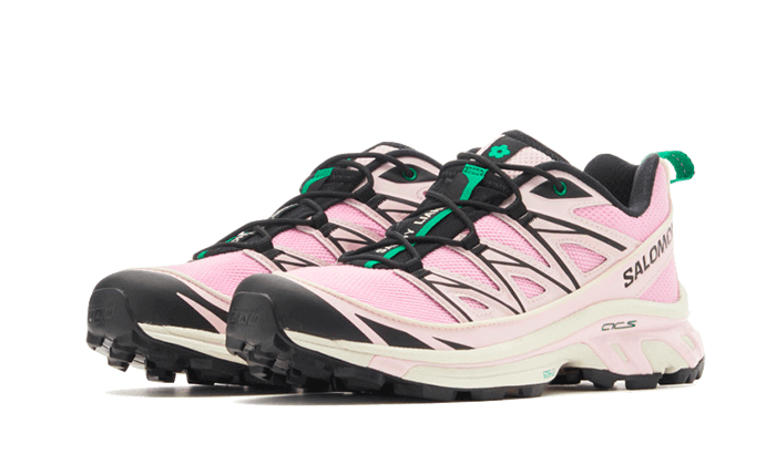 Overkicks - Salomon XT-6 Expanse Sandy Liang (L47242200) - vista trasera