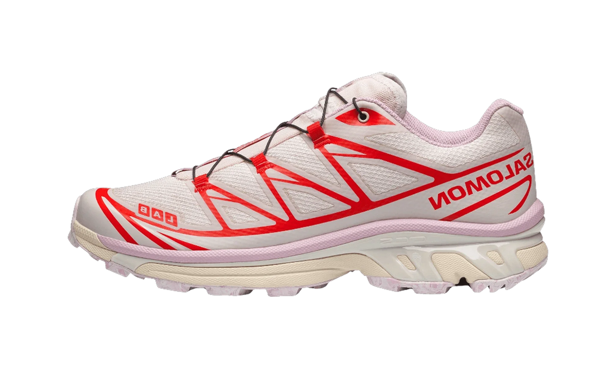 Overkicks - Salomon XT-6 Nostalgia (L49185800) - vista lateral