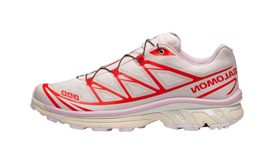 Overkicks - Salomon XT-6 Nostalgia (L49185800) - vista lateral