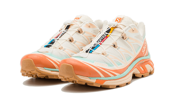 Overkicks - Salomon XT-6 Skyline Sun Baked (L41629800) - vista trasera