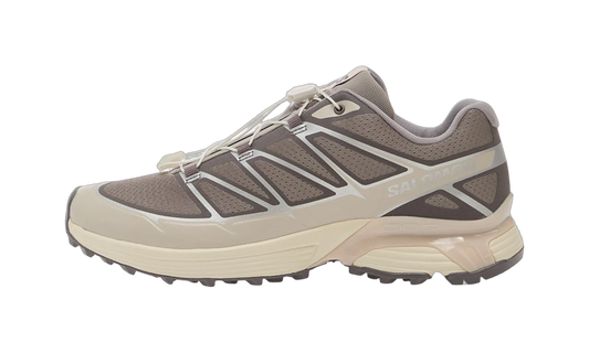 Overkicks - Salomon XT-Pathway 2 Gull Silver Lilac Ash (L45472400) - vista lateral