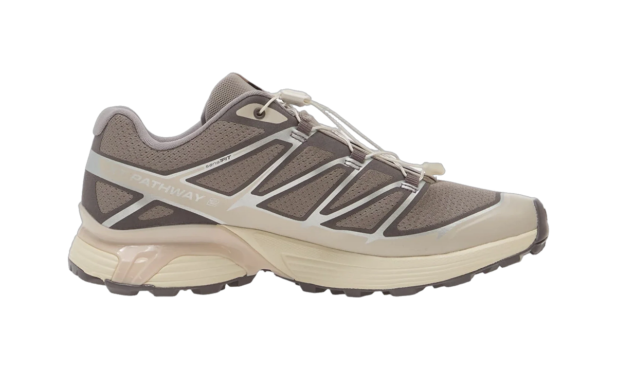 Overkicks - Salomon XT-Pathway 2 Gull Silver Lilac Ash (L45472400) - par completo