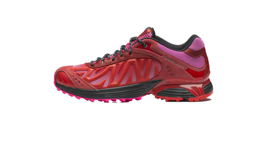 Overkicks - Salomon XT-Whisper Aries Fiery Red Fuchsia Pink (L49218700) - vista lateral