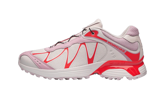 Overkicks - Salomon XT-Whisper Nostalgia (L49185900) - vista lateral