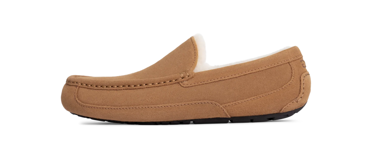 Overkicks - UGG Ascot Slipper Chestnut (1101110-CHE) - vista lateral