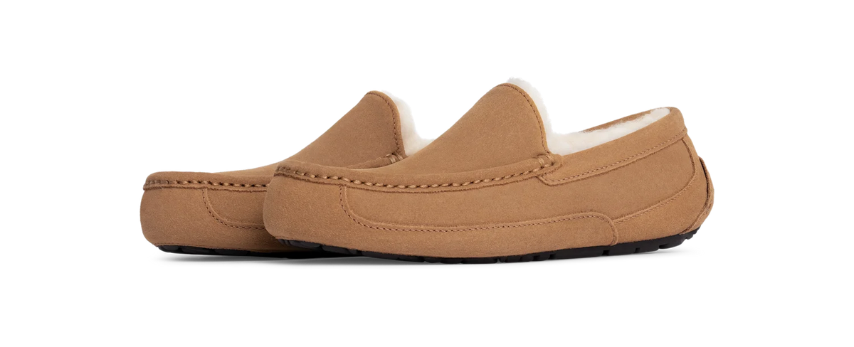 Overkicks - UGG Ascot Slipper Chestnut (1101110-CHE) - vista trasera