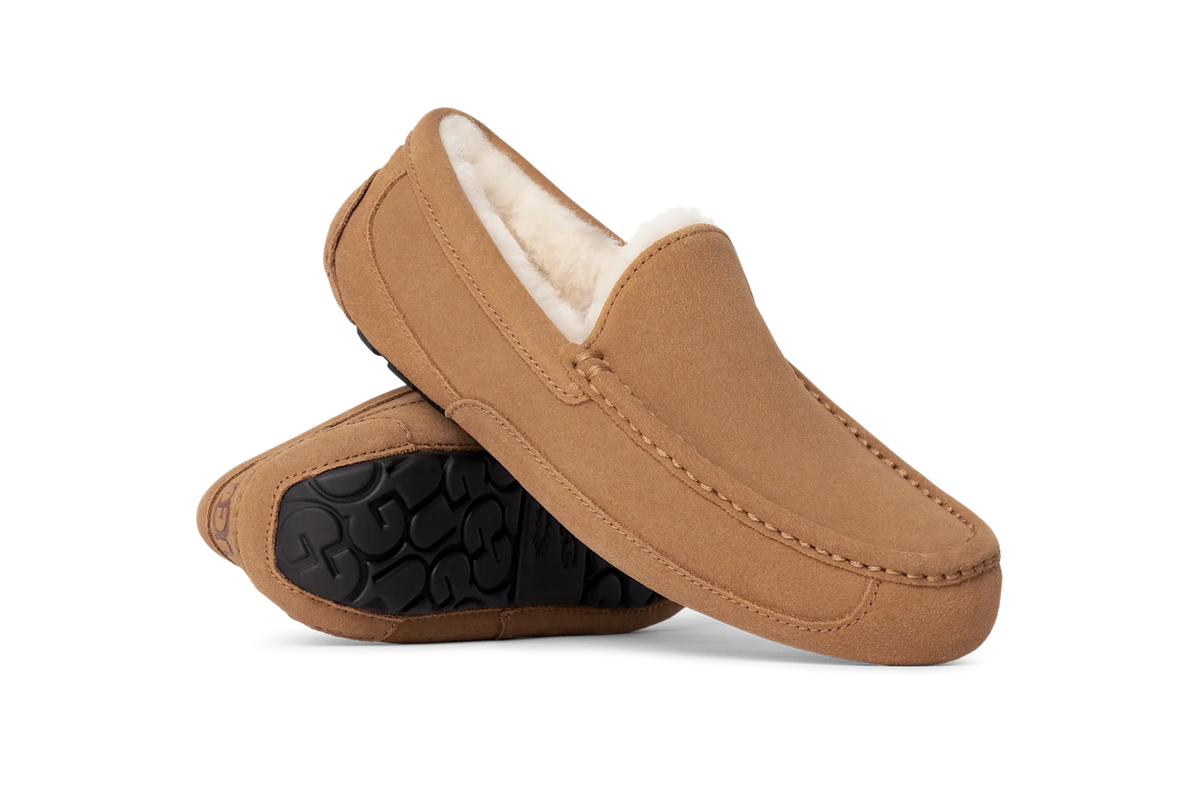 Overkicks - UGG Ascot Slipper Chestnut (1101110-CHE) - par completo