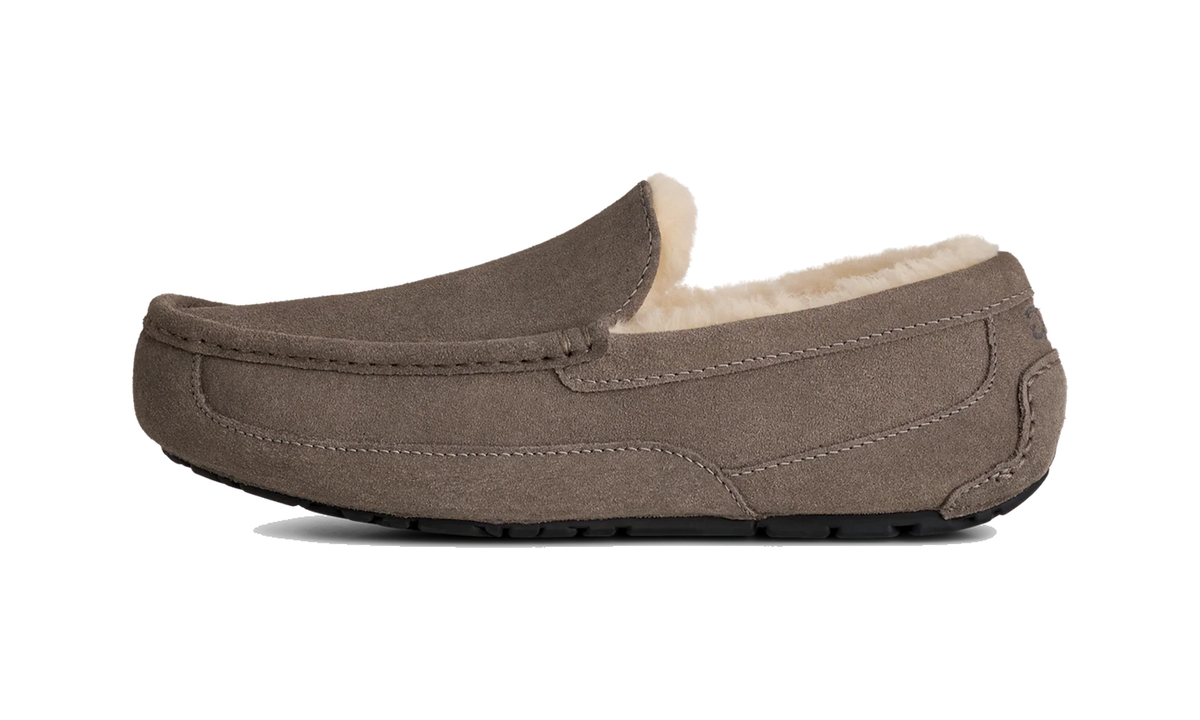 Overkicks - UGG Ascot Slipper Grey (1101110-GREY) - vista lateral
