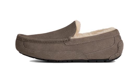 Overkicks - UGG Ascot Slipper Grey (1101110-GREY) - vista lateral
