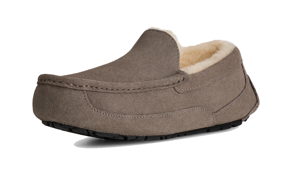 Overkicks - UGG Ascot Slipper Grey (1101110-GREY) - vista trasera