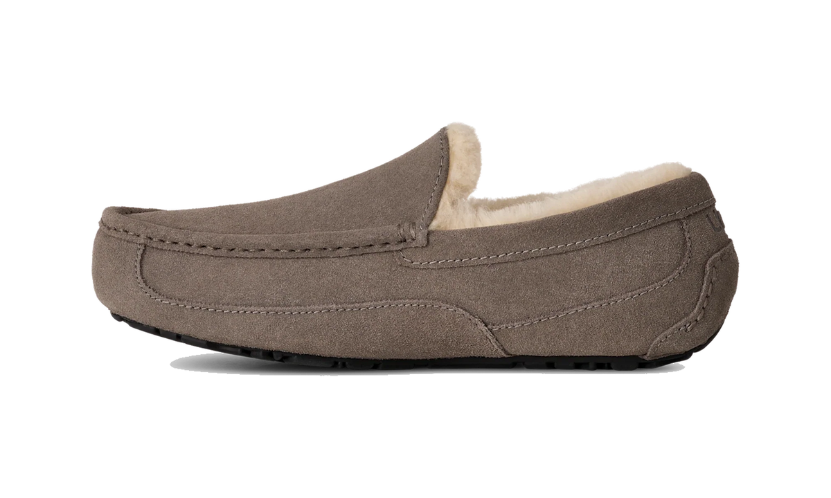 Overkicks - UGG Ascot Slipper Grey (1101110-GREY) - par completo