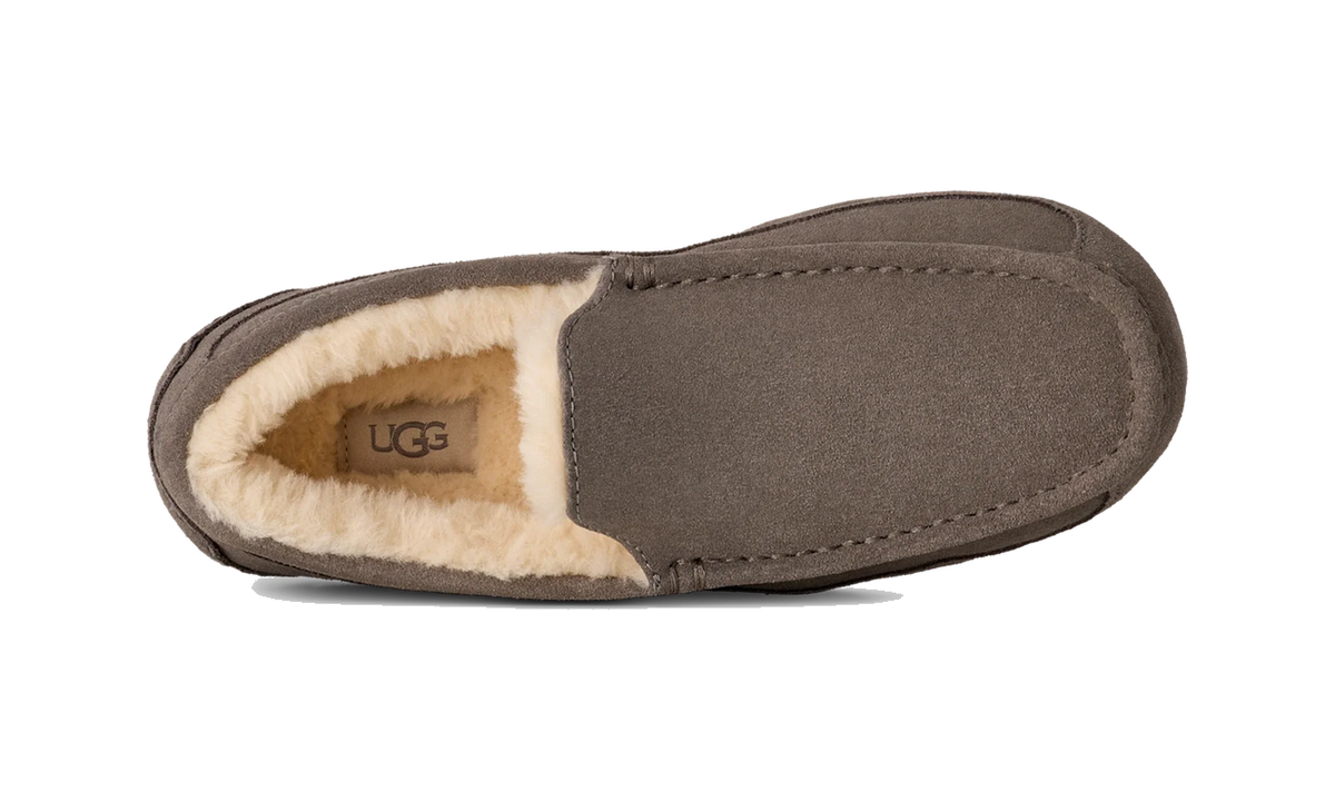 Overkicks - UGG Ascot Slipper Grey (1101110-GREY) - detalle talon
