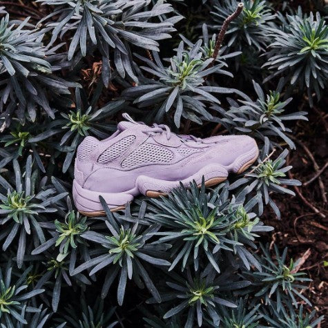 Overkicks - Yeezy 500 Soft Vision (FW2656) - vista superior