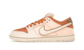 SB Dunk Low Jardins du Trocadéro