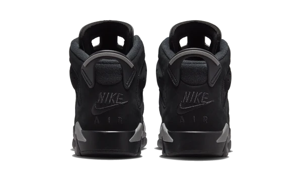 Air Jordan 6 Retro Cap and Gown