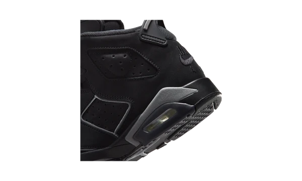 Air Jordan 6 Retro Cap and Gown