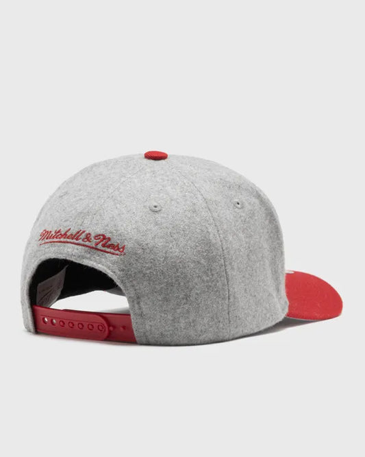 Mitchell & Ness NBA Tailsweeps Pro Snapback Chicago Bulls