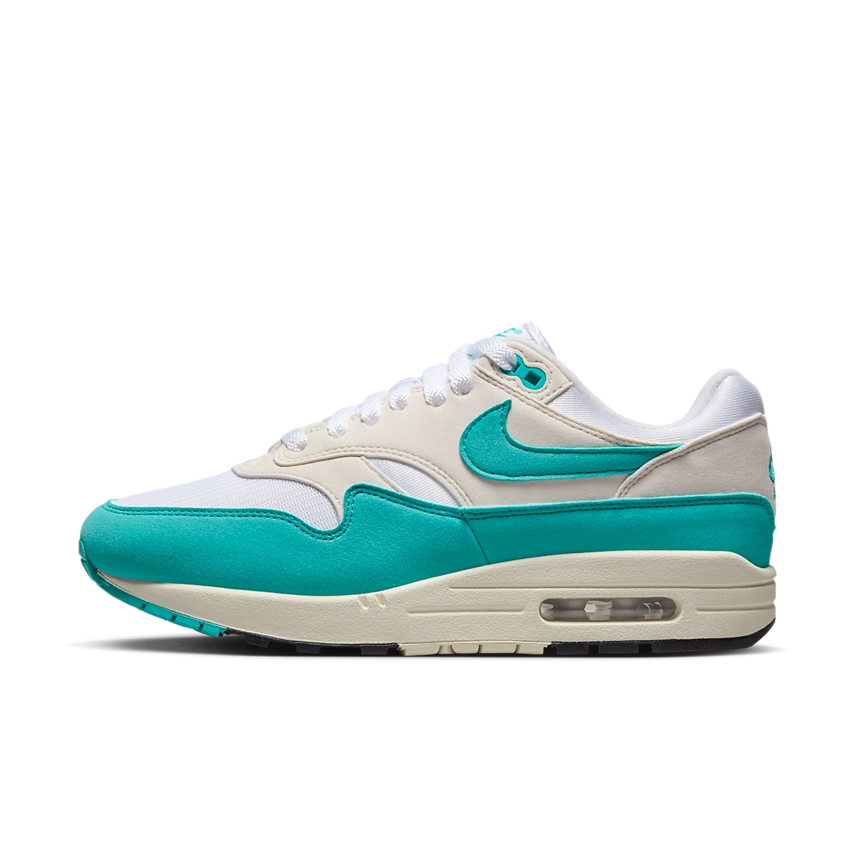 Nike Air Max 1 Dusty Cactus